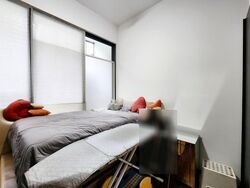 Affinity At Serangoon (D19), Terrace #527876491